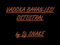 Vadoka Bayan-Lesi Ostestral 08 Dance hit