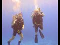 2005-10 Marsa Alam Deep South Scuba Diving 1/3