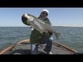 Lake Texoma Striper Fishing SNEAK PEEK ...