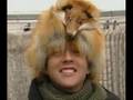 Funny D'Nash fotos!!!!