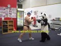 Muay Thai Training Panda