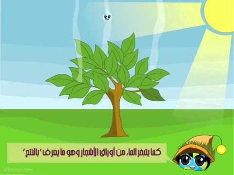See video