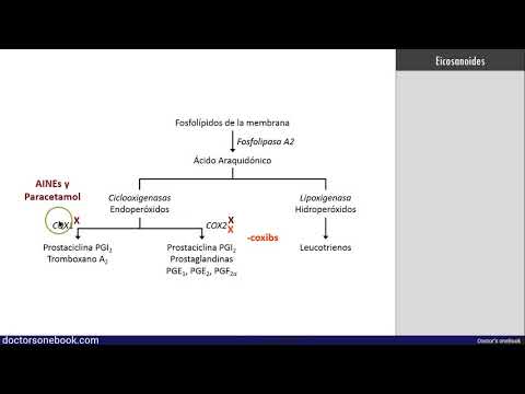 Antiinflamatorios No Esteroideos y Paracetamol