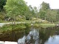 Idyllic lake with duck (the small moving point),Bergen,Norwa