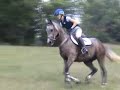 Lansdowne Under Saddle at Home