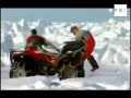 grosor hielo en golfo de san lorenzo dificulta inicio de caza de focas