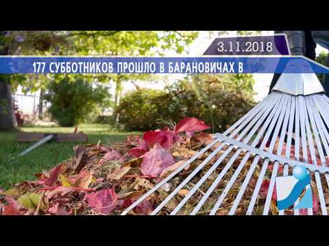 Новостная лента Телеканала Интекс 03.11.18.