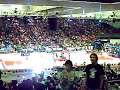 actuacion-el-menton-de-fogarty-en-el-bec.html