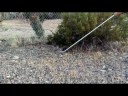 Bikini-Rattlesnake Removal Bikini-Rattlesnake Removal