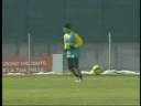 GIOVINCO GIURA FEDELTA\