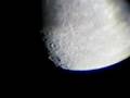 Lune en mouvement zoom x450