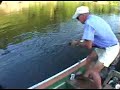 king kong catfish: catching a 400 pound piraiba   fight clip