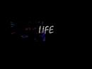 Life