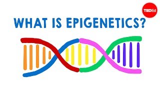 Nature vs. Nurture: Genetically Identical Twins May Differ In Traits Due To Epigenetic Changes From 