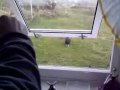 Hungry Chook