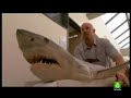 los secretos del gran tiburon blanco 3