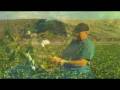 videos de Australia