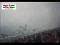 Rapid Wien Auswärts Away Ultras Salzburg Fans