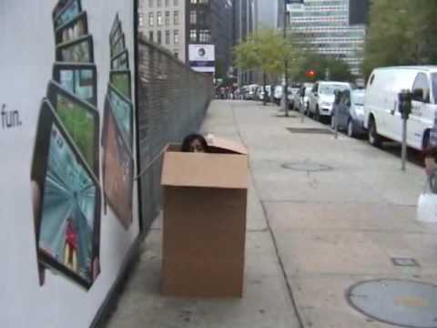See video See video