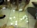 videos de Bay Camp 08 Night Games 2