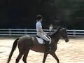 Louie: flatwork