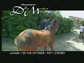 DELLA MONICA.wmv DELLA MONICA.wmv