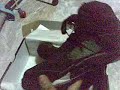 Air Jordan V Retro