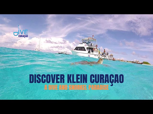 Dive Curacao YouTube Channel
