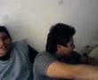 wevo dormilon