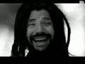 reggae gondwana ignorancia
