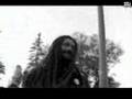 reggae gondwana ignorancia