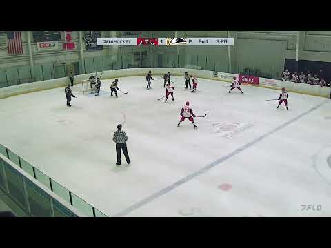 2024-25 : Season Summary - FO wins