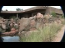 Sabi Sabi Earth Lodge