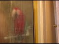 Macaw sings Happy Birthday