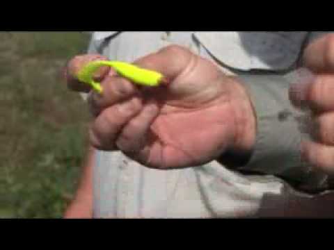 Osceola Outback Barramundi "Chew On ...