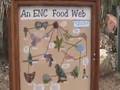 Newport Beach Castaways Park and Environmental Nature Center