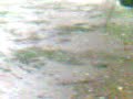 Chuva de Granizo