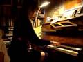 Me playing Koi da ne