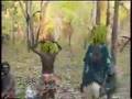 Hunting for Flying Fox | Yolngu comedy!