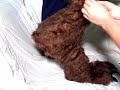 Adding Fur to Werewolf Stilts
