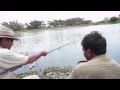 Fighting an 8lb rohu from a coracle in the Cauvery. Indianangler.com