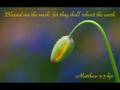 Hillsong - Hosanna