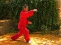 Taichi Estilo Wu (Wu Yuxiang)-especial 3ª edad-Parte 1