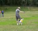 Masha 22_06_08 Masha 22_06_08
