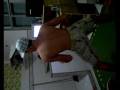 leocouto,juniorbarcelos,celsoteixeira,rafaeldudaDEICHAGATINHATRA.wmv