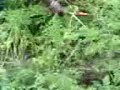 Idukki, Kanthalloor with Friends 2