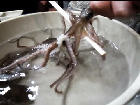 Imagen de previsualización de YouTube