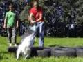 DWDC agility training