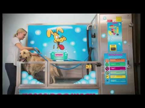 The invention of the K9000 Dog Wash