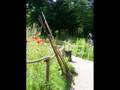 videos de Thijsse's Hof Bloemendaal